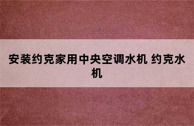 安装约克家用中央空调水机 约克水机